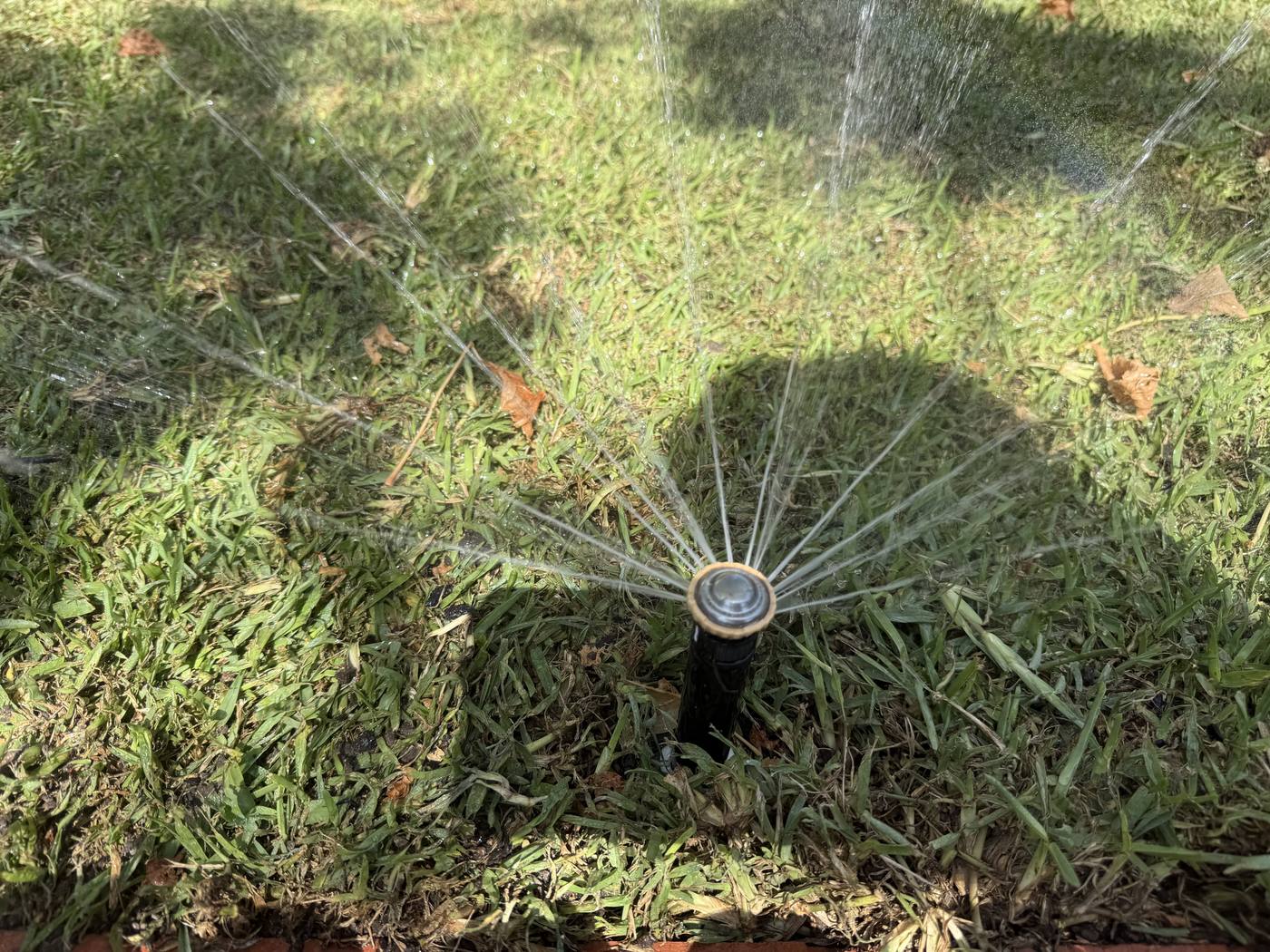 A pop-up sprinkler fanning a fine arc across a lush green lawn